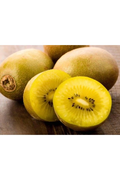 Плоди актинідії делікатесної Голд